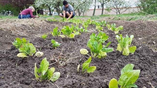 1_Freier_Gartentreff_Marcel_Teppich-d4200716