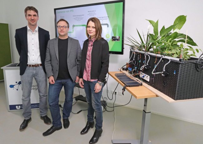 Präsentation Bewässerungssystem