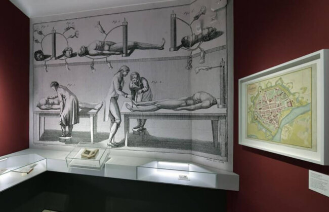 Frankenstein-Kabinett_ Foto von Ulrich Roessle